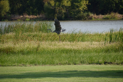 RCD_4088.JPG