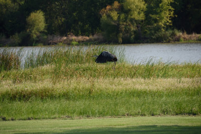 RCD_4089.JPG