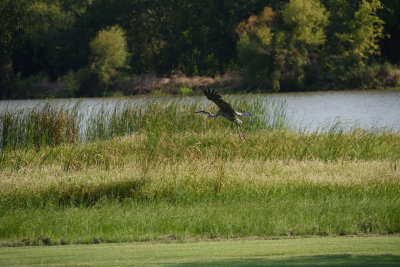 RCD_4090.JPG