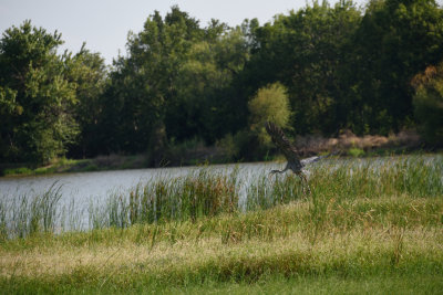 RCD_4093.JPG