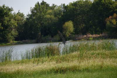 RCD_4095.JPG