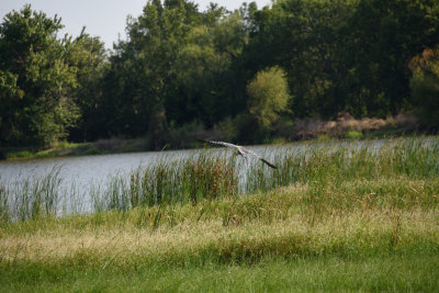 RCD_4098.JPG