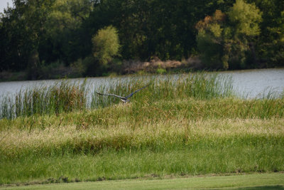 RCD_4101.JPG