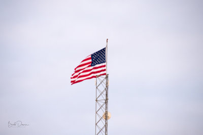 _RCD8506.jpg