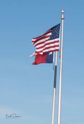 RCD_1228.jpg