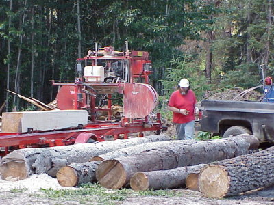 Logs waiting to Die.