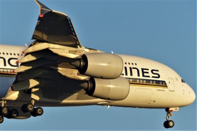  A380-841 
