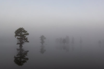 Horseshoe Lake