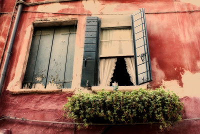 venice_2009