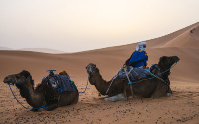 Sahara Desert - Morocco