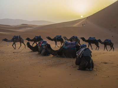 Sahara Desert - Morocco