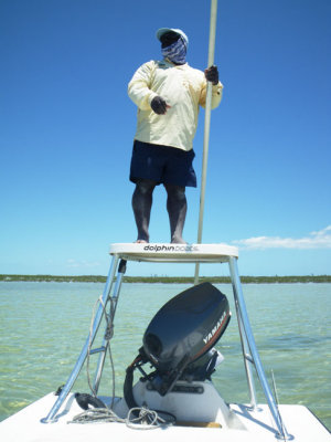 60 feet, 1 o'clock, 3 nice fish coming at us! 1717.jpg