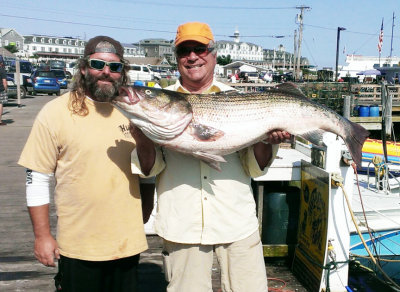 Tommy, that's a big striped bass!!