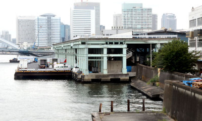 Tsukiji Fish Market 3659