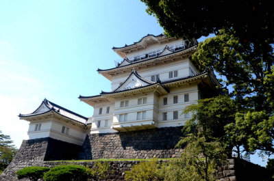 Odawara Castle (小田原城) 3722