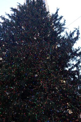 The Christmas Tree at Rockefeller Center 3049