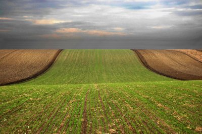 Clouds and Fields