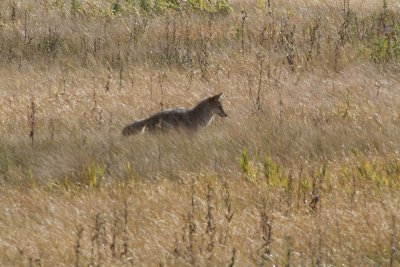 IMG_8110s.jpg