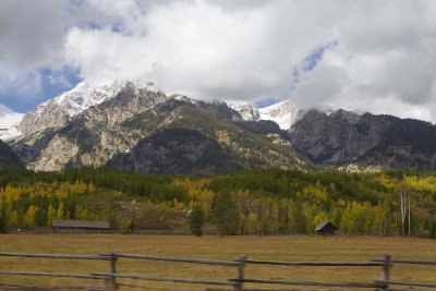 IMG_8234s.jpg