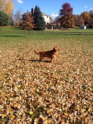 2013-11-03 10:42