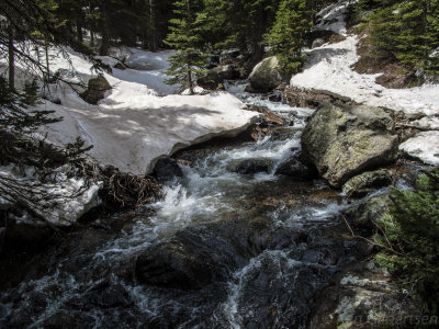 Rocky Mtn. NP