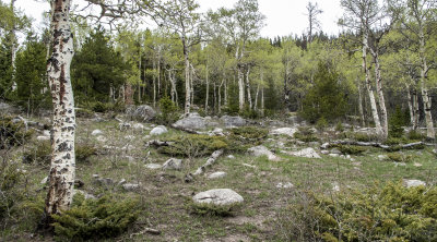 Rocky Mtn. NP