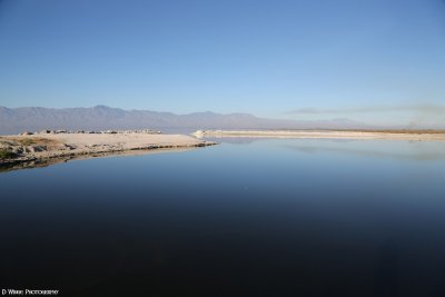 Salton Sea