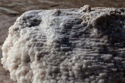 Salt crystals at the Dead sea