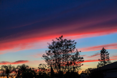 Sunset in San Jose, California