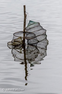 Fish Trap