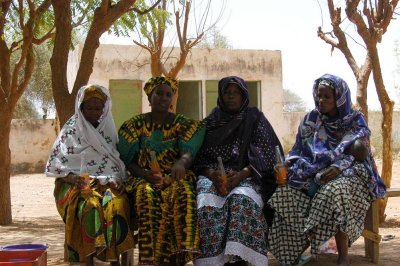Mali, Femmes membres de l'Asaco de Gory