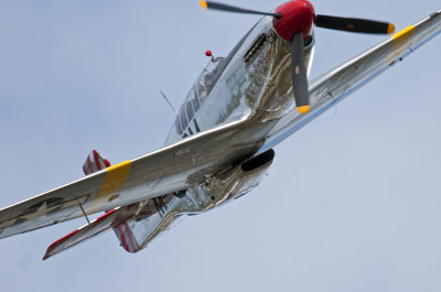 _JCP9379 TOO CLOSE.jpg
