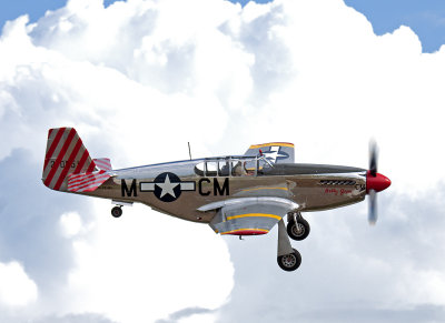 _JCP9398 LG.jpg P51 MUSTANG