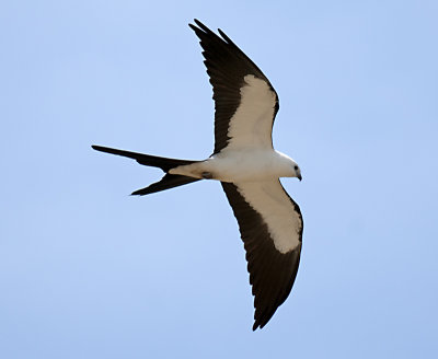 _JCP0975.jpg