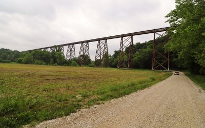 TULIP RR TRESSEL