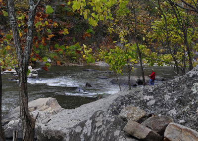 MAURY RIVER _JC71281.jpg