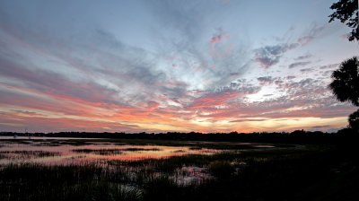 BEAUFORT RIVER #2 _JC71688.jpg