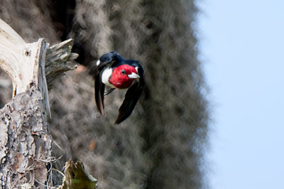 _DSC6949 b.jpg