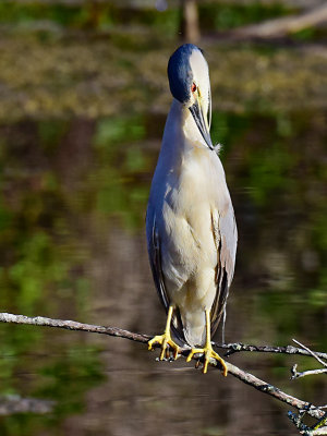 JHH_5956 v.jpg
