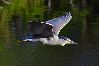 JHH_6046.jpg