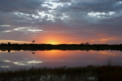 GRISSOM WETLANDS   JC7_2501.jpg