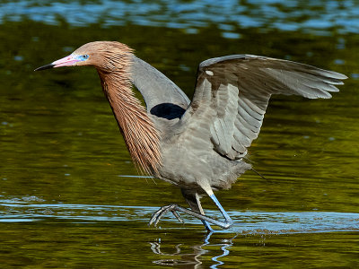 JHH_2820 crop.jpg