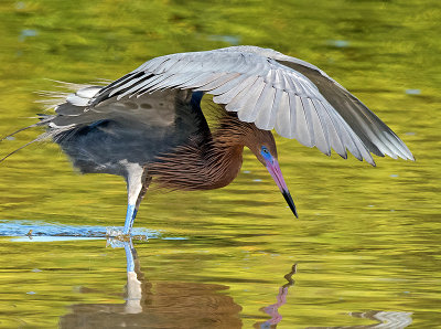JHH_3029crop.jpg