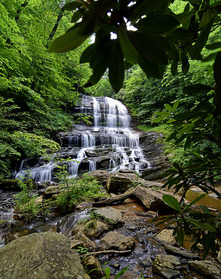 PEARSON'S FALLS  _JHH7719.jpg