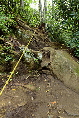 THE SOCO TRAIL  _JHH0277 ed.jpg