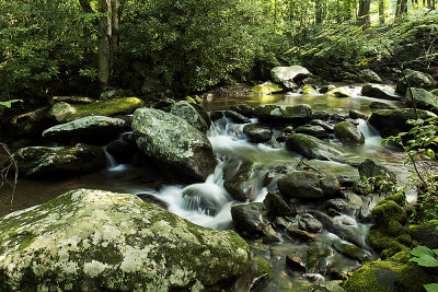 Roaring Fork _JHH0667 ed. jpg.jpg