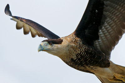 JHH_3197 crop.jpg