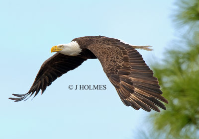 D5H_1146.jpg