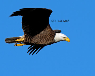 JHH_8530.jpg