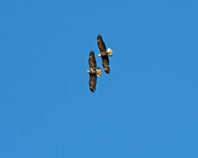 D5H_2405.jpg